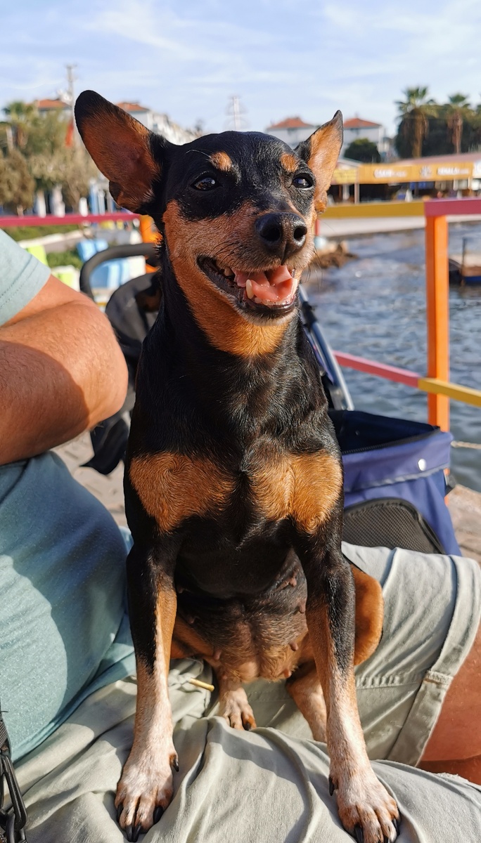 Греемся на солнышке 