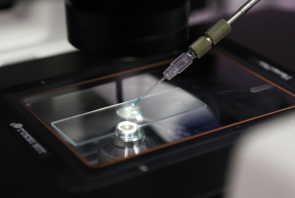 Фото: РИА Новости/ Павел Львов