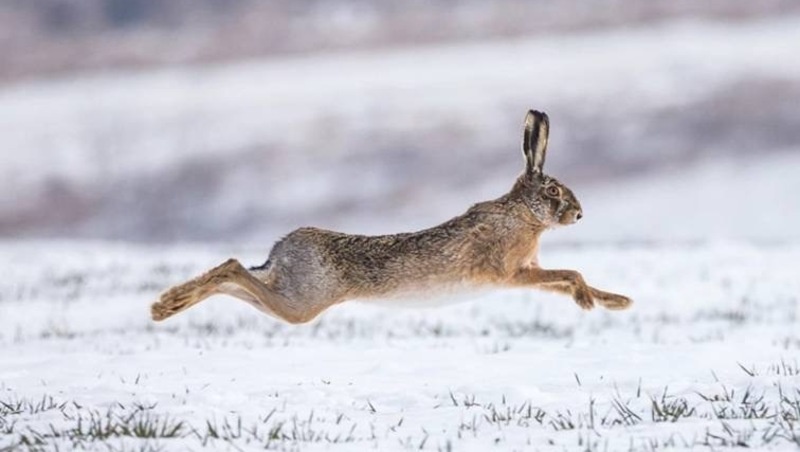      Фото: минприроды СК