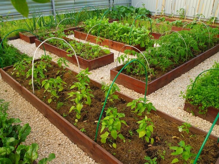 фото не моё (пример)