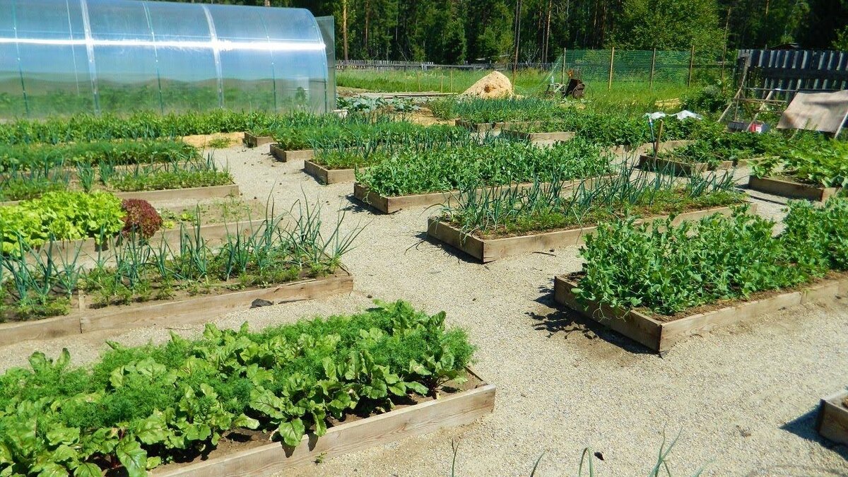 фото не моё