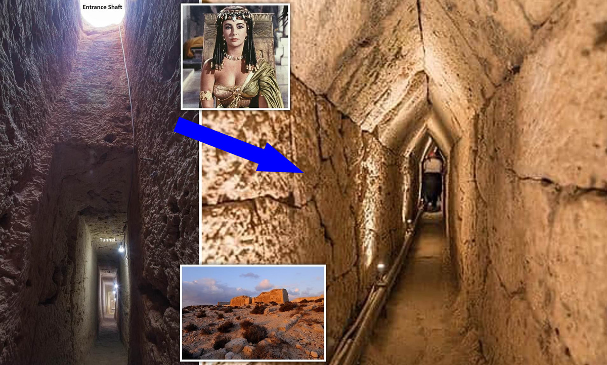    Религиозные ритуалы Древнего Египта: новые данные из Тапосирис Магна