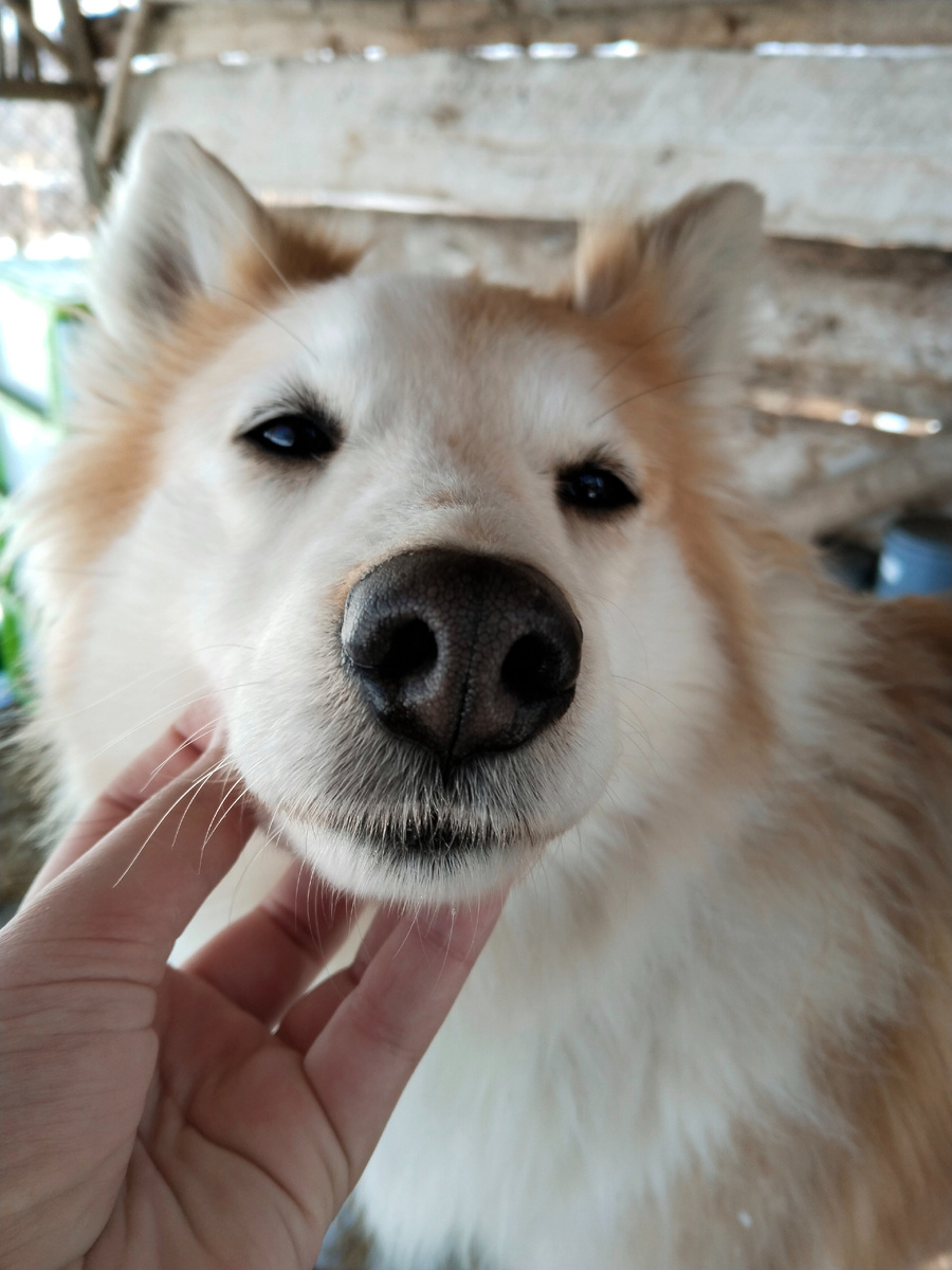 Мы по-старому, на русском говорим ;) 