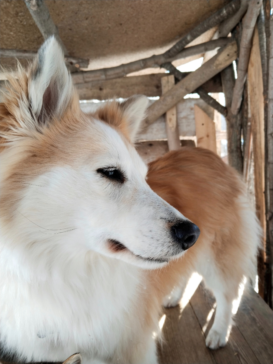 Надеюсь, вы не расстроились, что статья такая маленькая 