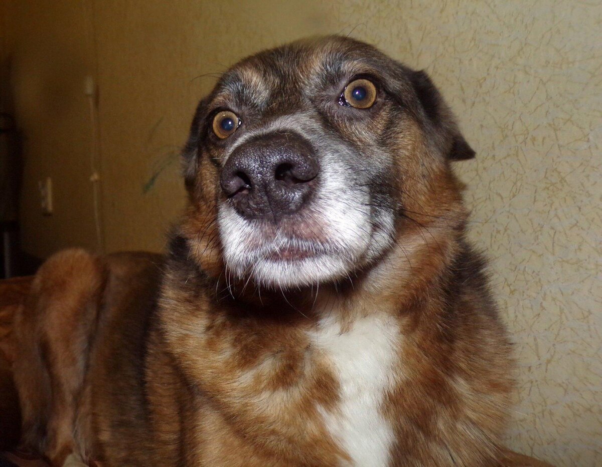 Это наш первый подобраш