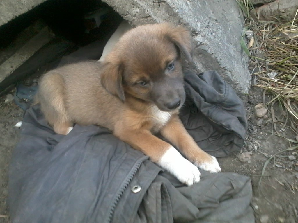 Таким его нашел сын, и боялись папе показать. 