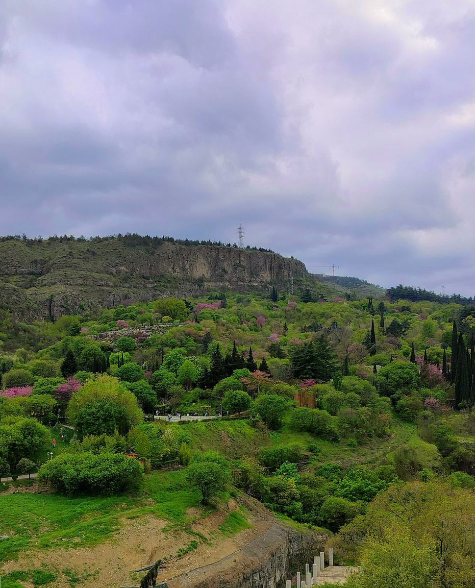 Какая дурацкая ирония: когда зависит от нас мало, наши планы и надежды все чаще начинаются с беспомощного «если». Эльчин Сафарли