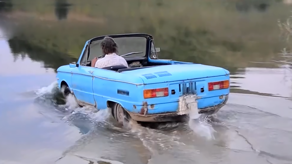 Фото: © Кадр из программы "Как устроен мир", РЕН ТВ