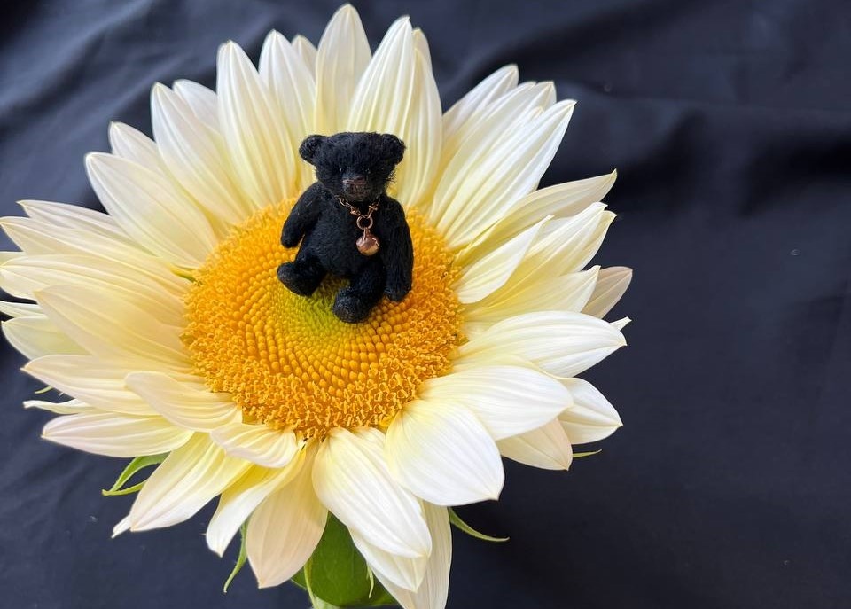 Автор мишки: Бушуева Елена