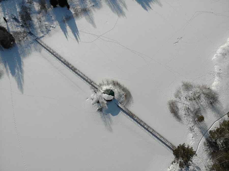 Экологическая тропа «В гостях у леса». Фото: Антон Хвостов / ВКонтакте
