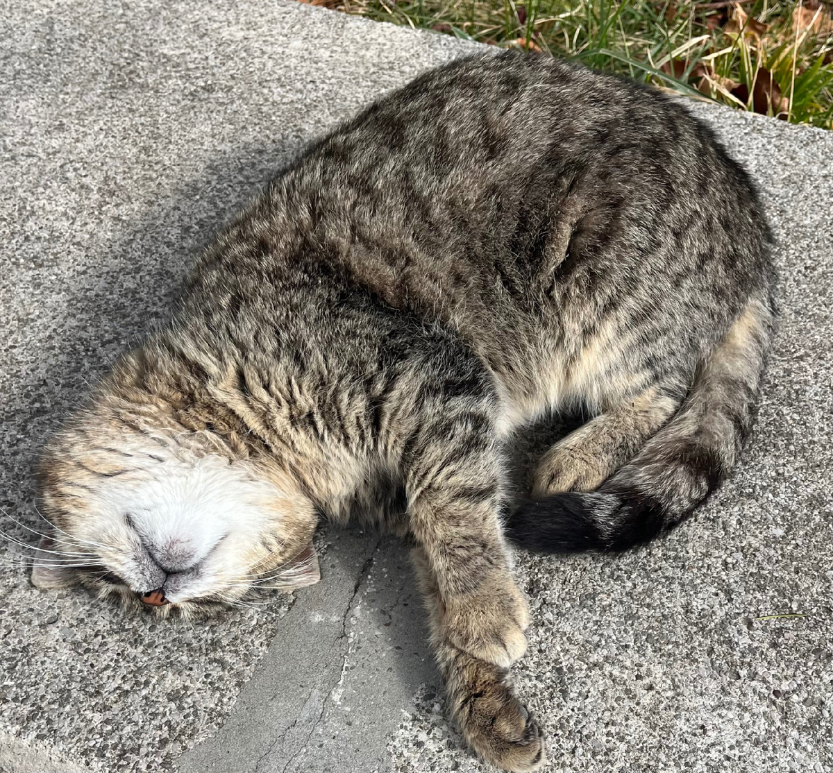 Примерно так я ощущала себя вчера 😍