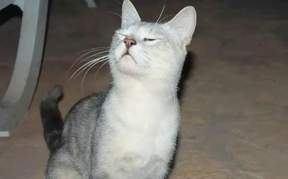 -5