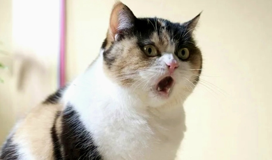 -12