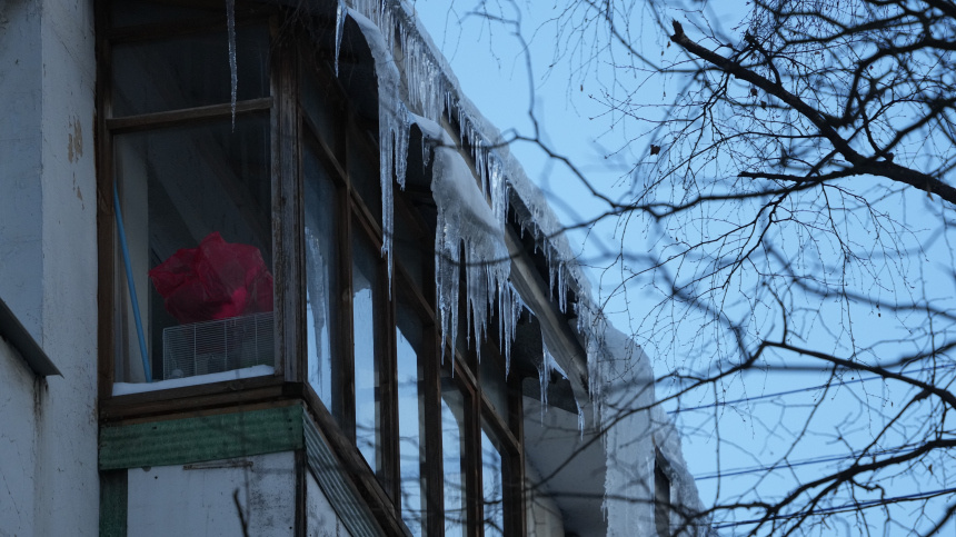    Фото: ИЗВЕСТИЯ/Дмитрий Коротаев; 5-tv.ru