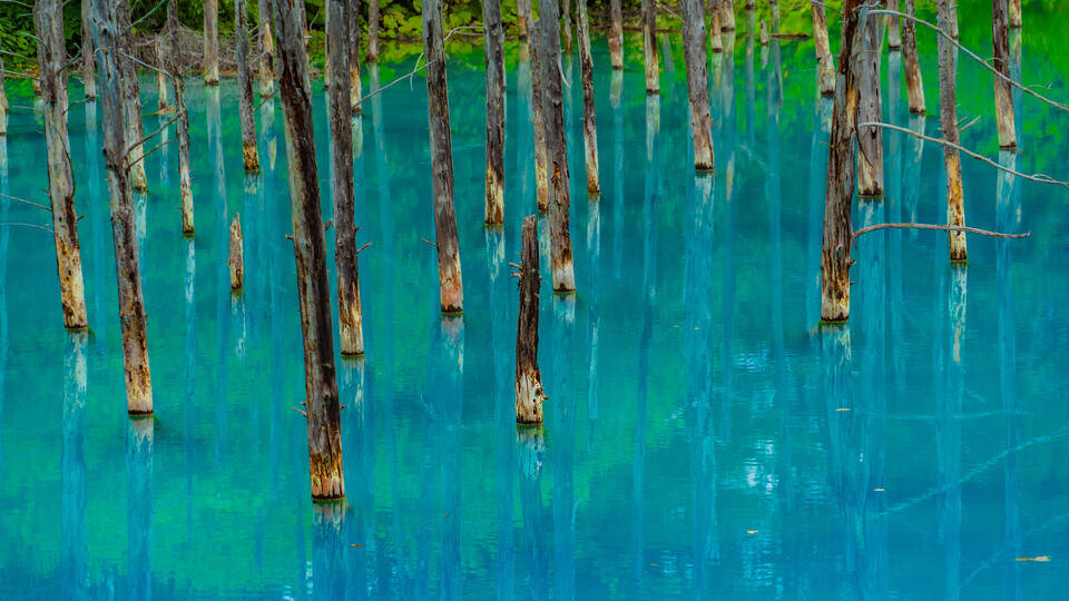 Фото: © TASS/Zoonar/Imago