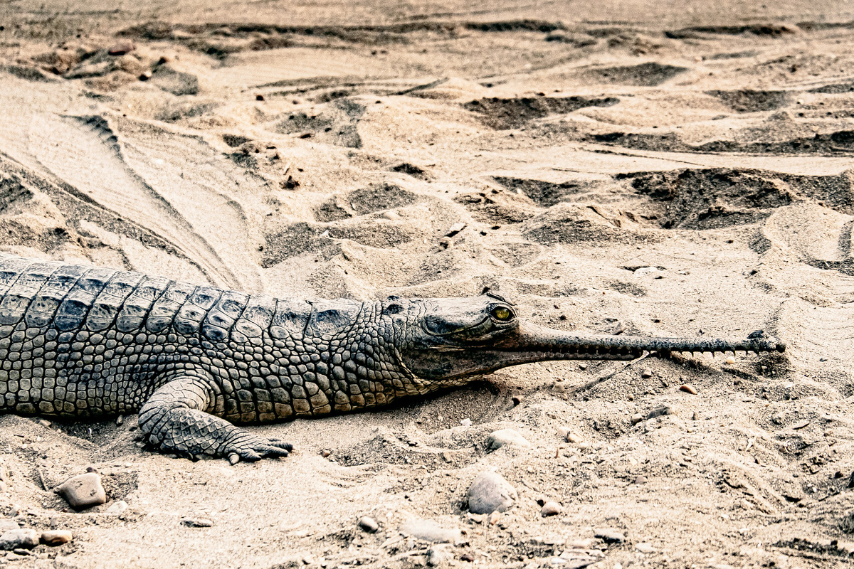 Картинка с бесплатного фотостока https://unsplash.com, автор Daniele Franchi