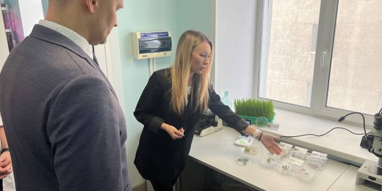    Правительство Новосибирской области