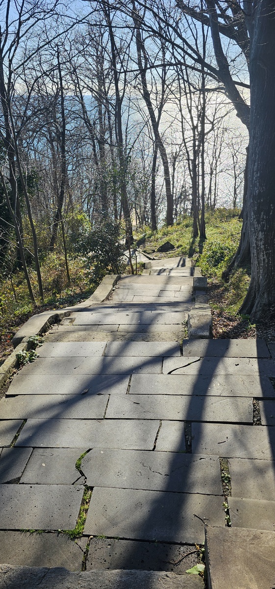 Тропинка, ведущая к морю.