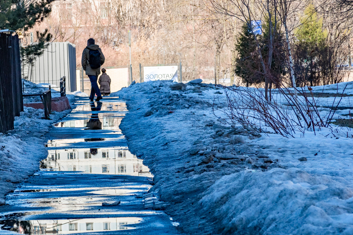 фото: Konstantin Kokoshkin/Global Look Press