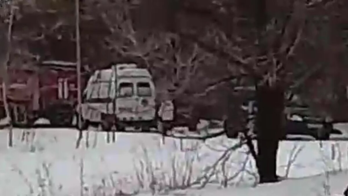     Источник: ТГ полечка