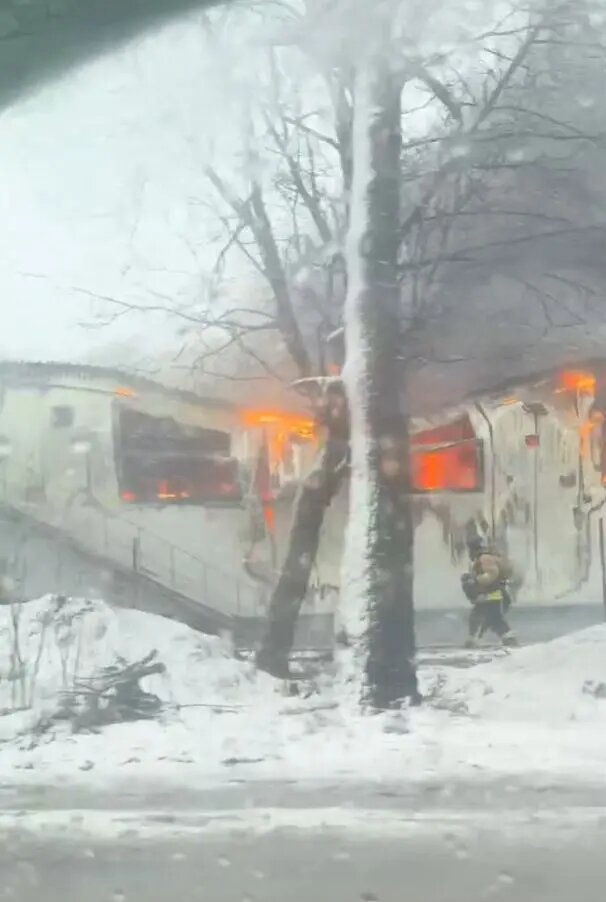    Фото: кадр видео из группы «ДТП и ЧП | Санкт-Петербург | Питер Онлайн | СПб» в ВК