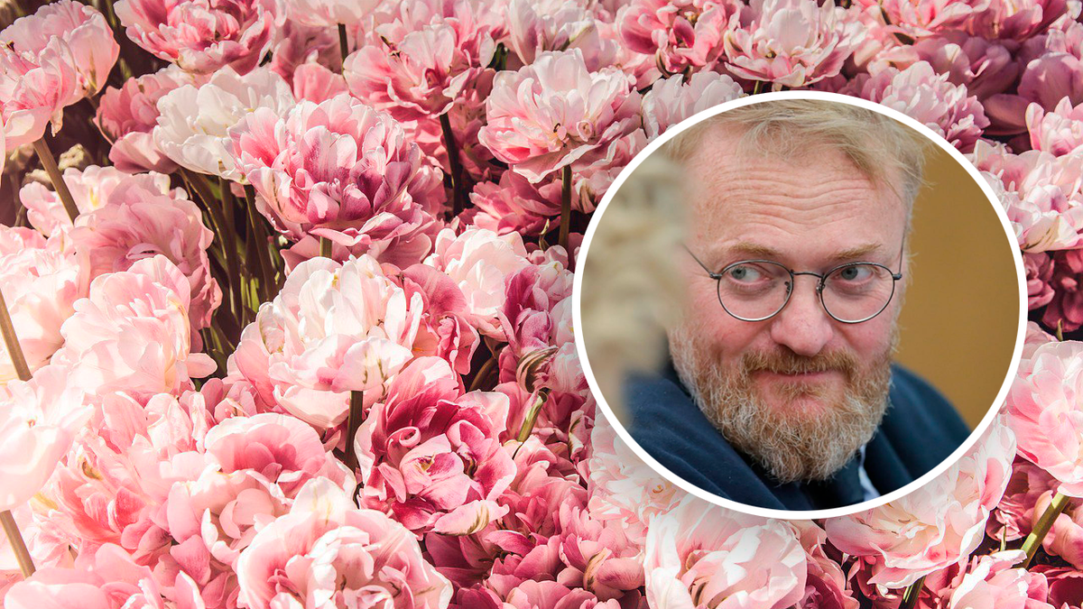 Фото: pixabay.com / соцсети Виталия Милонова