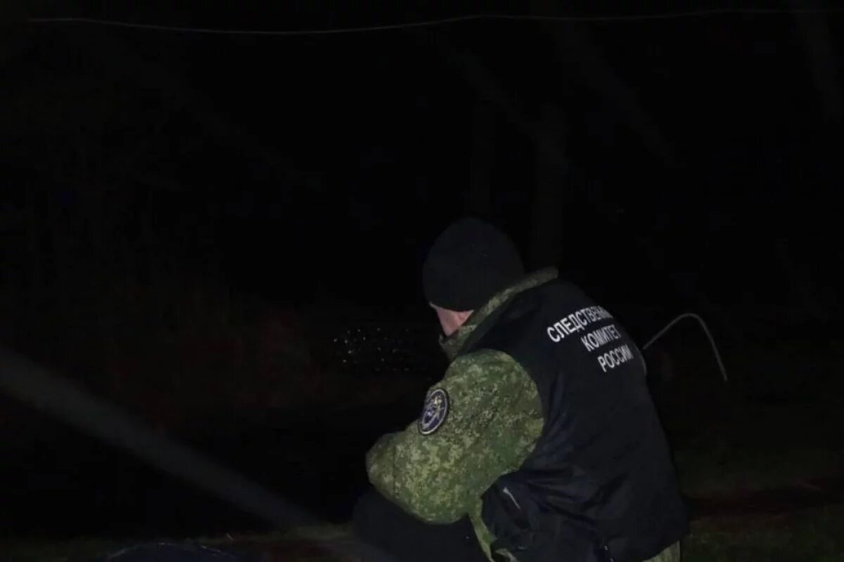    В Великолукском районе восьмилетняя девочка утонула в пруду