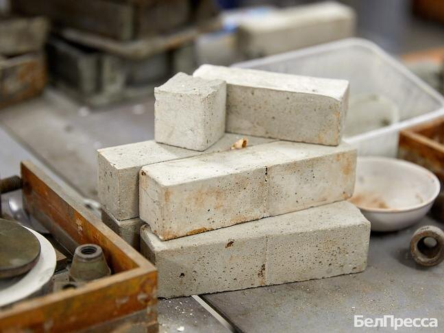 Фото: Елена Журавлёва