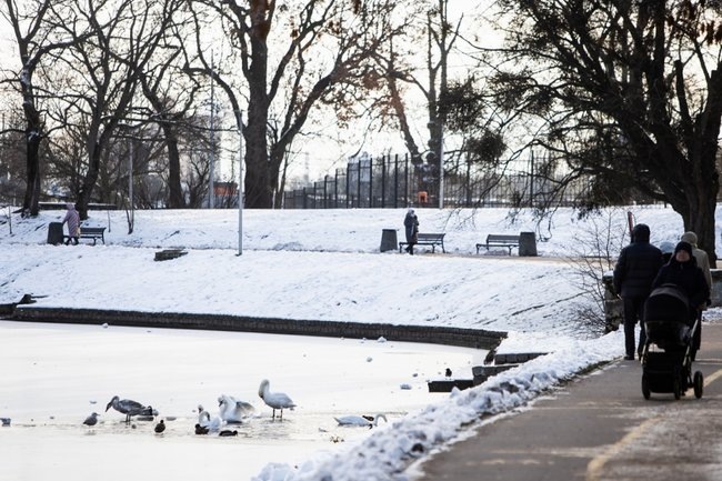    Фото: Александр Подгорчук