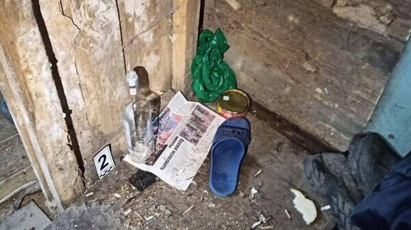    © Photo : Telegram / СК Беларуси