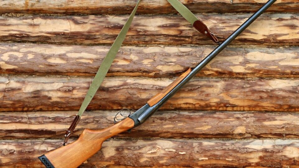    Охота. Ружье. Источник: pixabay.com