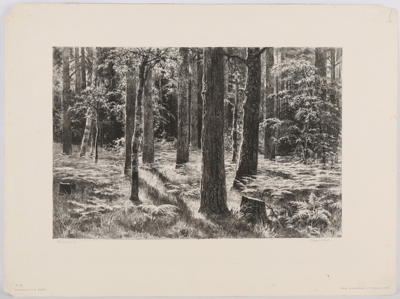 Папоротник. 1886 г., материалы: бумага, офорт, размеры: 23,8 х 30,5 см; 40,6 х 30,5 см (основа). Источник: http://www.kabinet-auktion.com