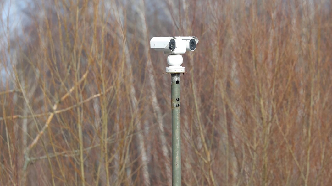    © Petrov Sergey/Globallookpress