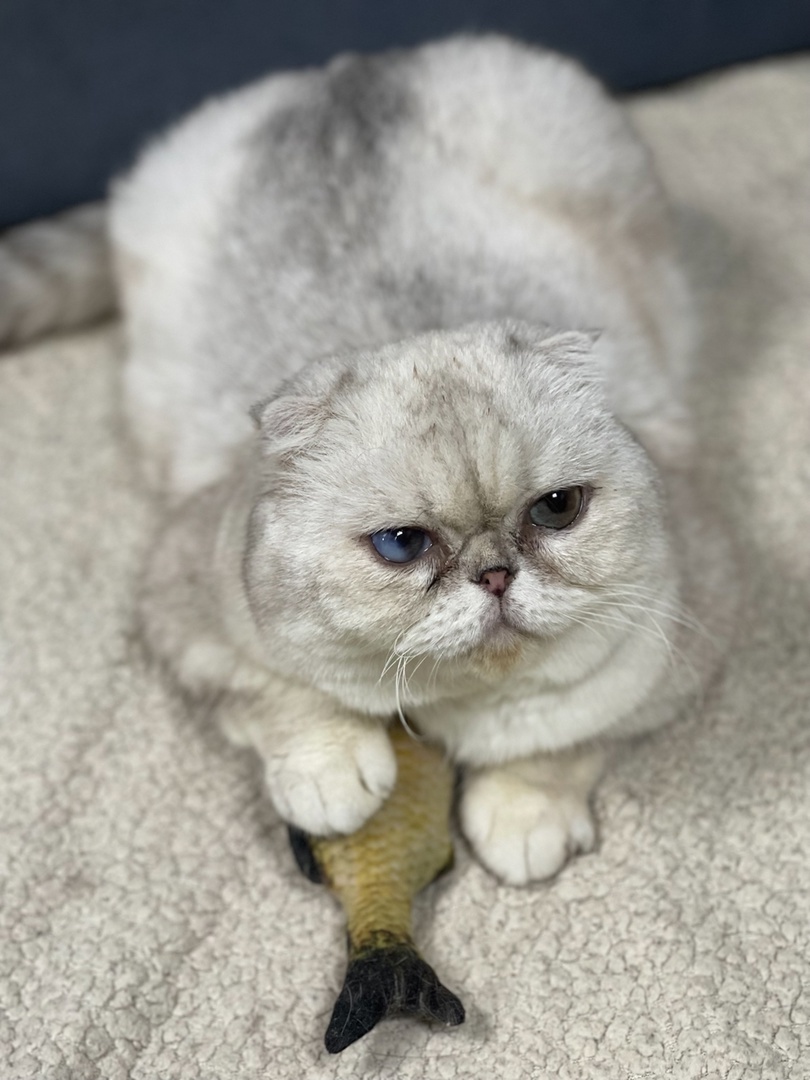 Пончик рыболов)))