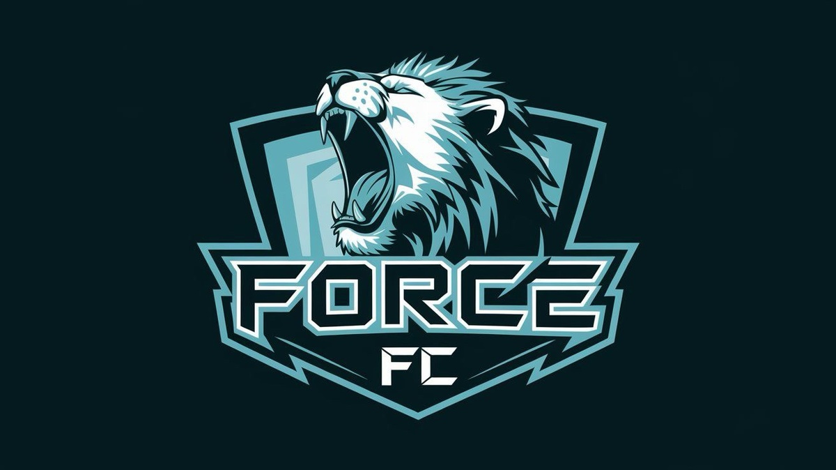     Force FC