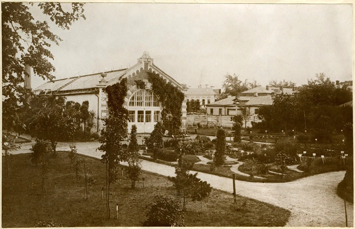 Аптечный огород в старину