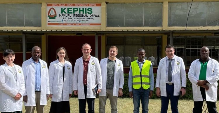    Специалисты Россельхознадзора провели аудит семеноводческой лаборатории в Кении