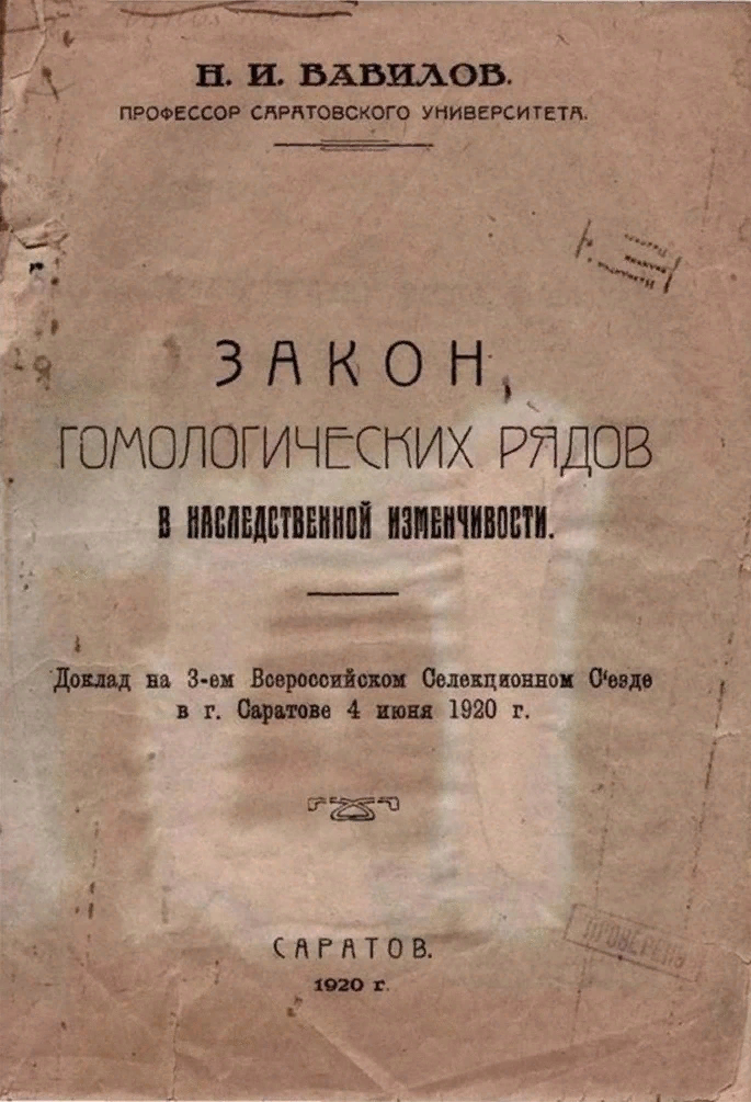 Обложка доклада