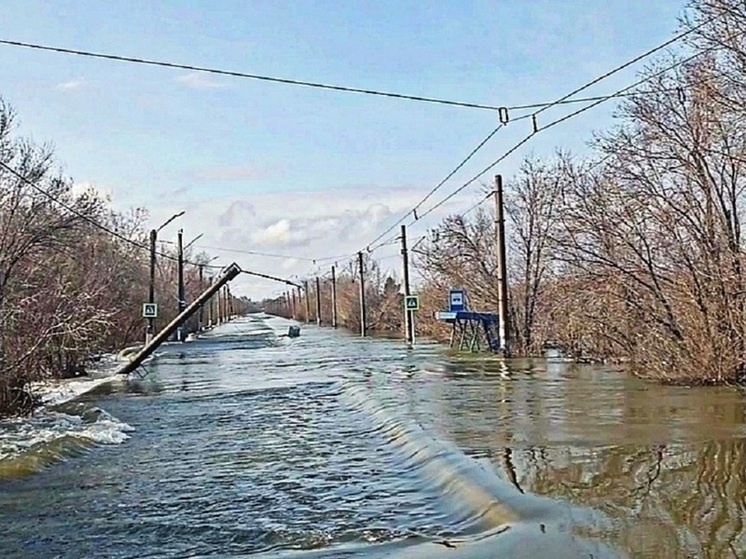     Фото "МК в Оренбурге"