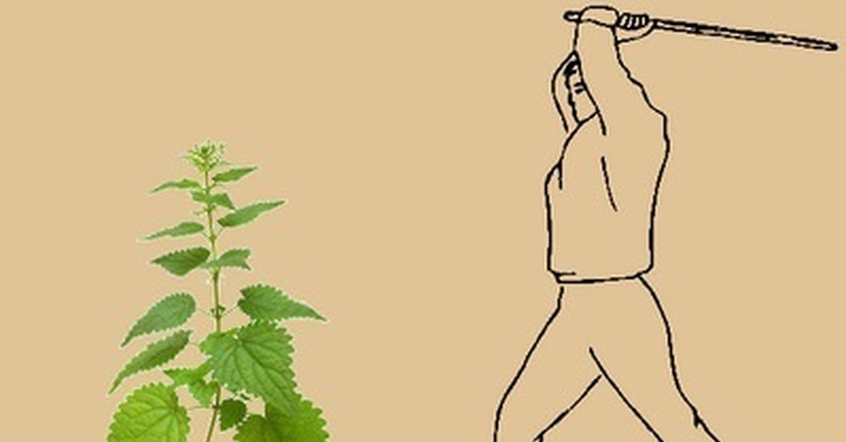 После укуса крапивы зарубите ее палкой, чтобы она не укусила в ответ