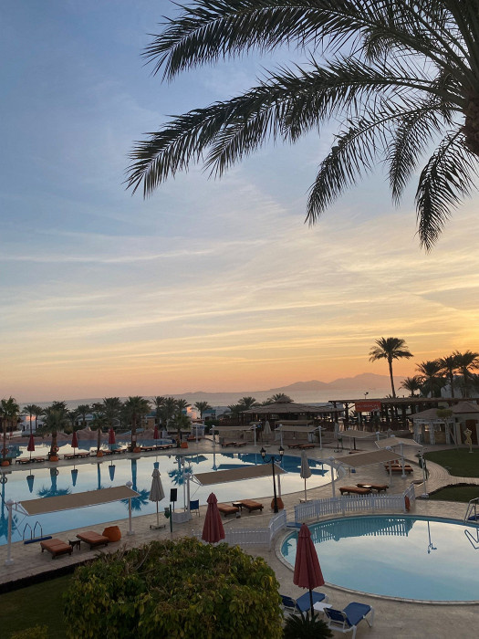 Svetaleto, автор отзыва