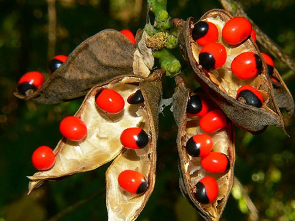 ���������������� � ��������, ����� �� ����� �������� �������, � ��� �� � ���� ���