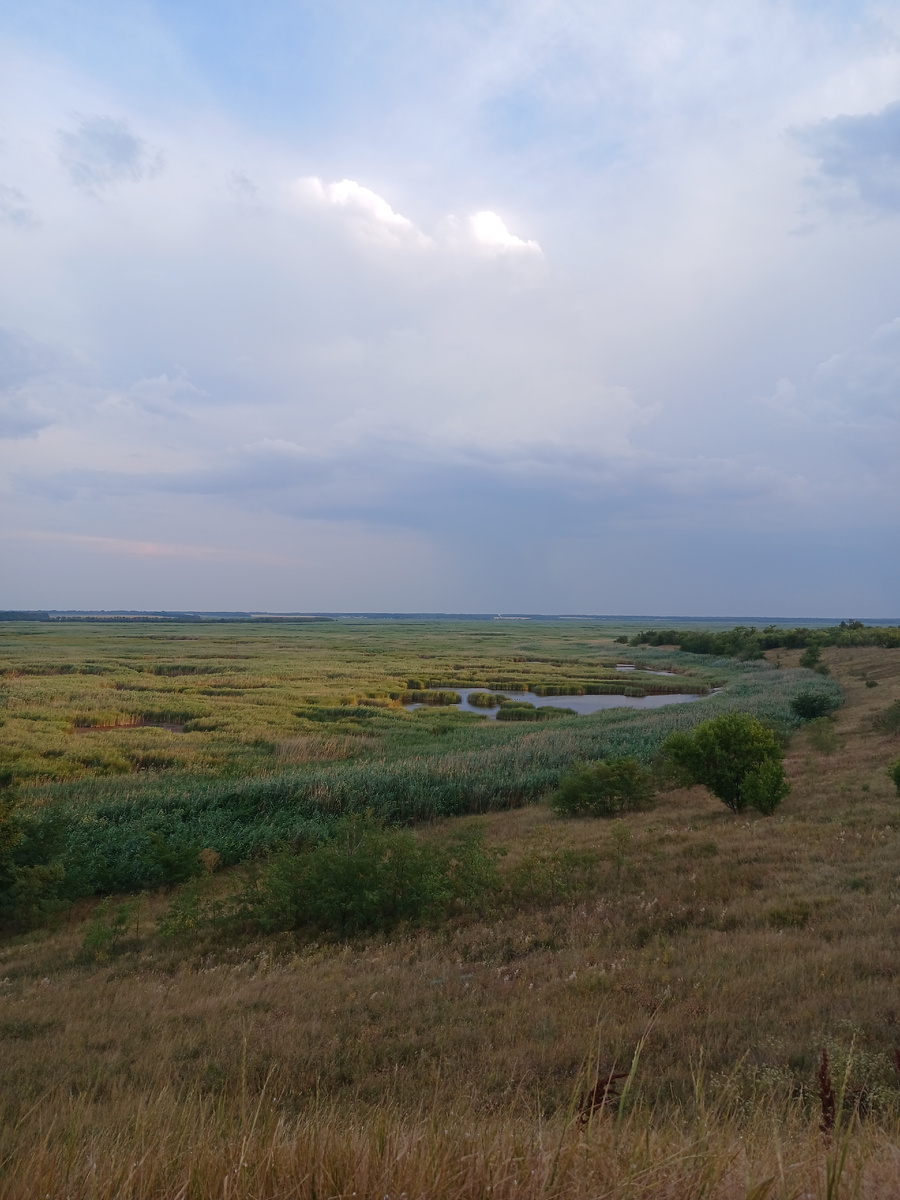 Панорамные виды наших плавней