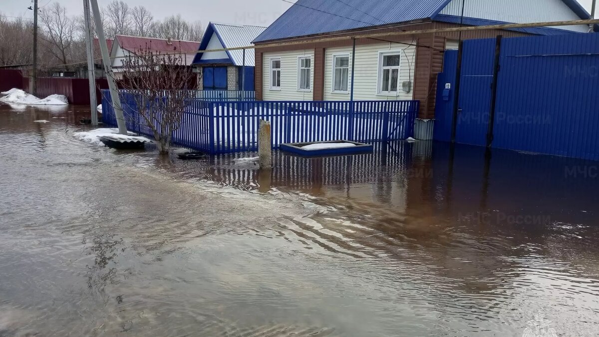     Автор: 73.mchs.gov.ru