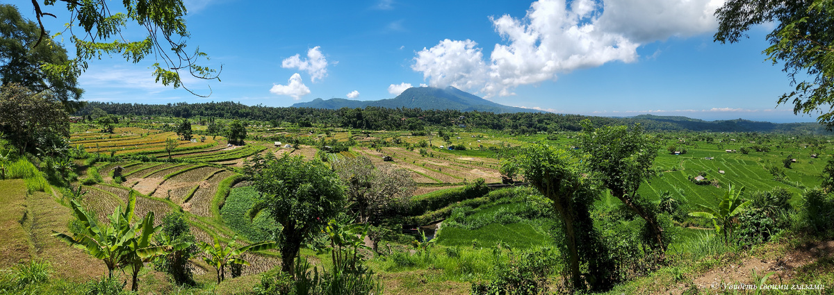 Типичный пейзаж острова Бали – это рисовые поля и террасы у подножия вулканов