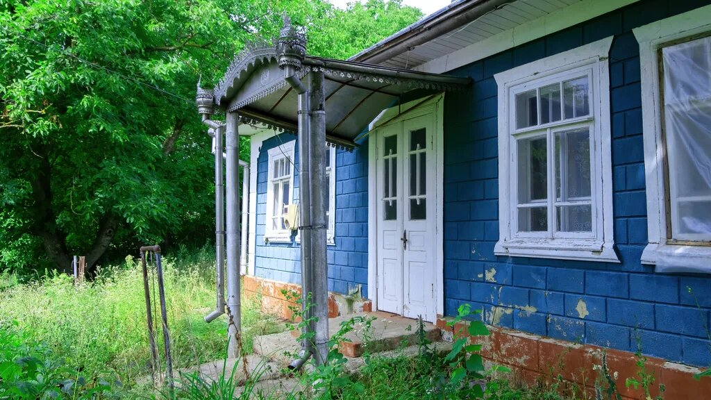 Фото: freepik.com