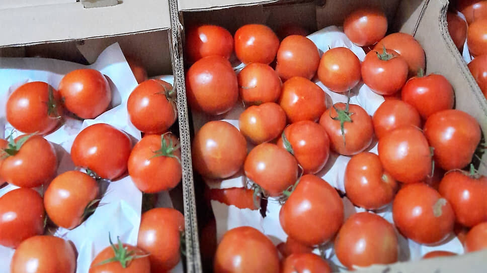 Фото: Россельхознадзор Тюменской области, ХМАО и ЯНАО