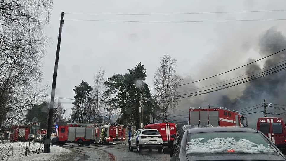 Фото: МО Лахта-Ольгино / «ВКонтакте»