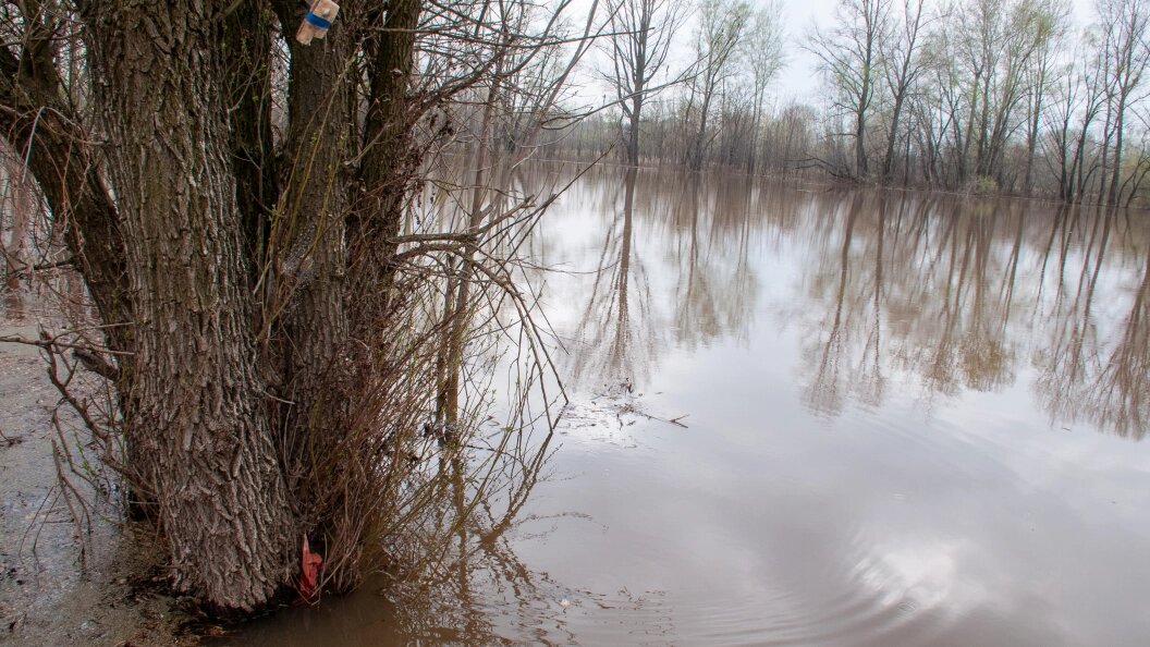    Фото: Svetlana Vozmilova/Globallookpress