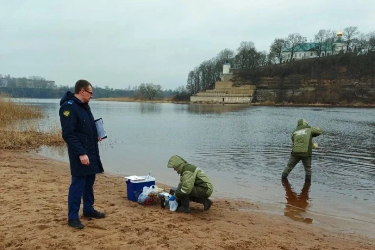    Неочищенные сточные воды из коллектора попадают в реку Великую в Пскове